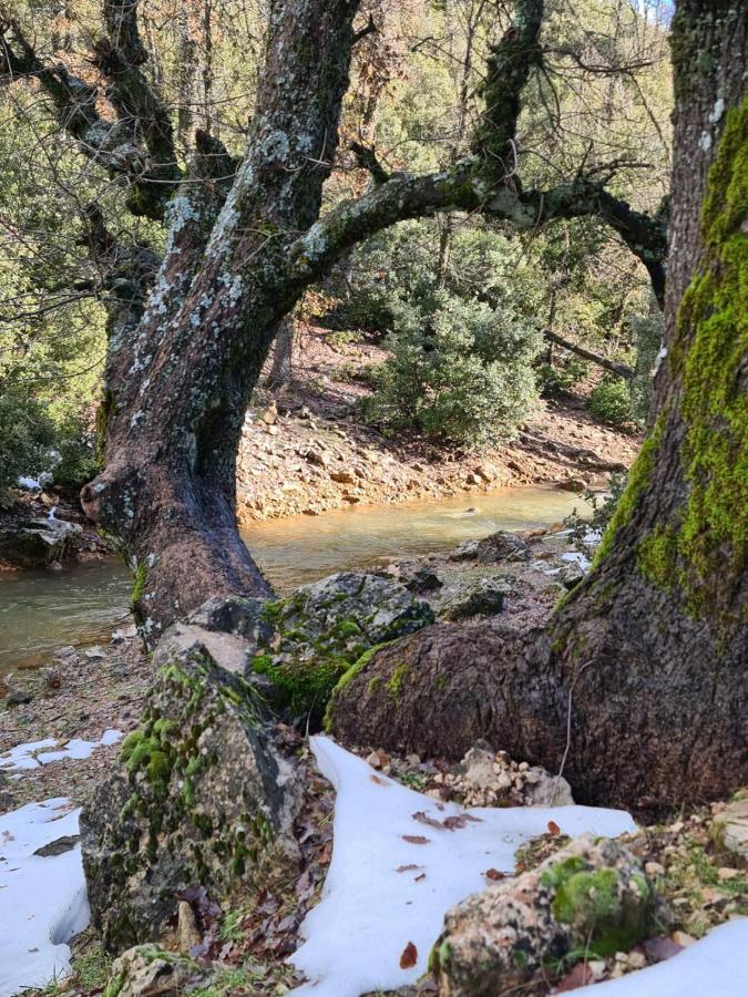 La Pommeraie D'Ifrane Ifrane  Exterior foto
