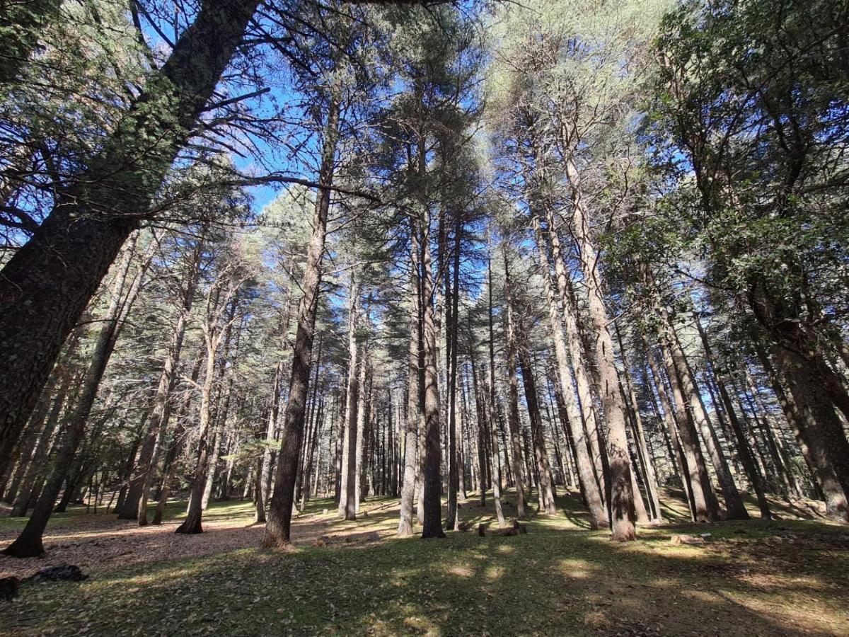 La Pommeraie D'Ifrane Ifrane  Exterior foto