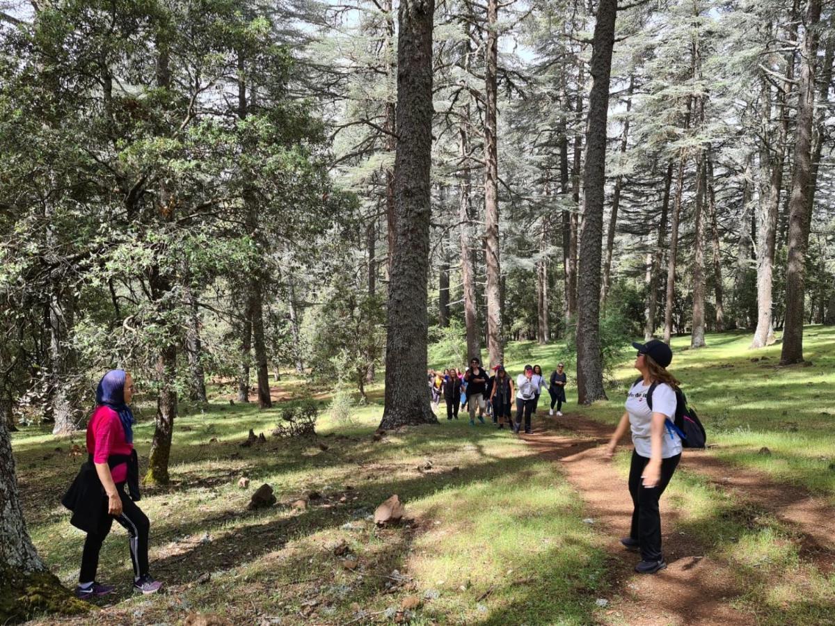 La Pommeraie D'Ifrane Exterior foto