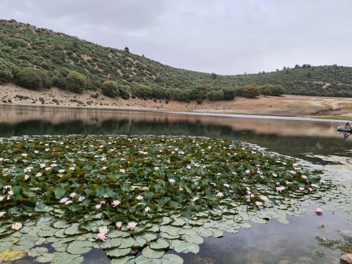 La Pommeraie D'Ifrane Ifrane  Exterior foto