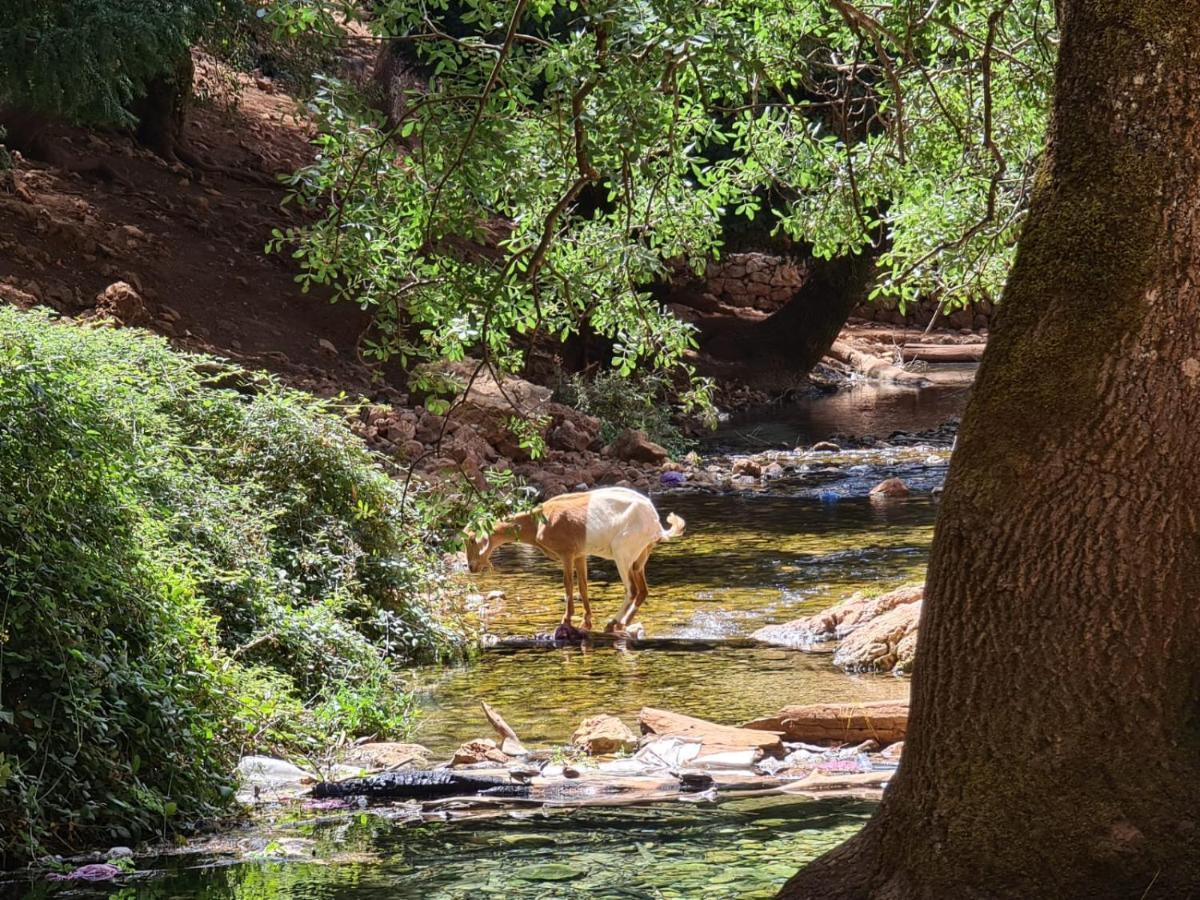 La Pommeraie D'Ifrane Exterior foto